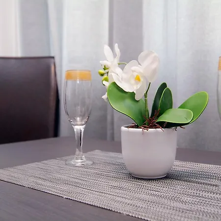 Bucharest Apartments Accommodation Apartamento Bucareste